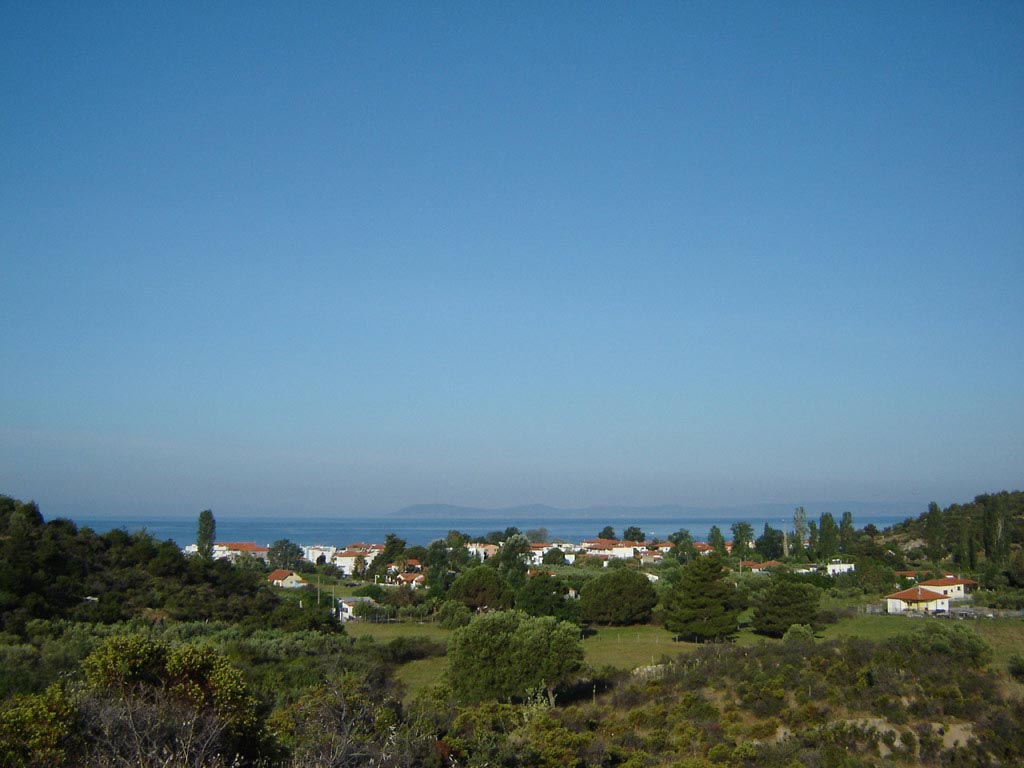 toronibay