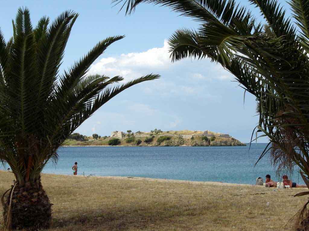 palmtree