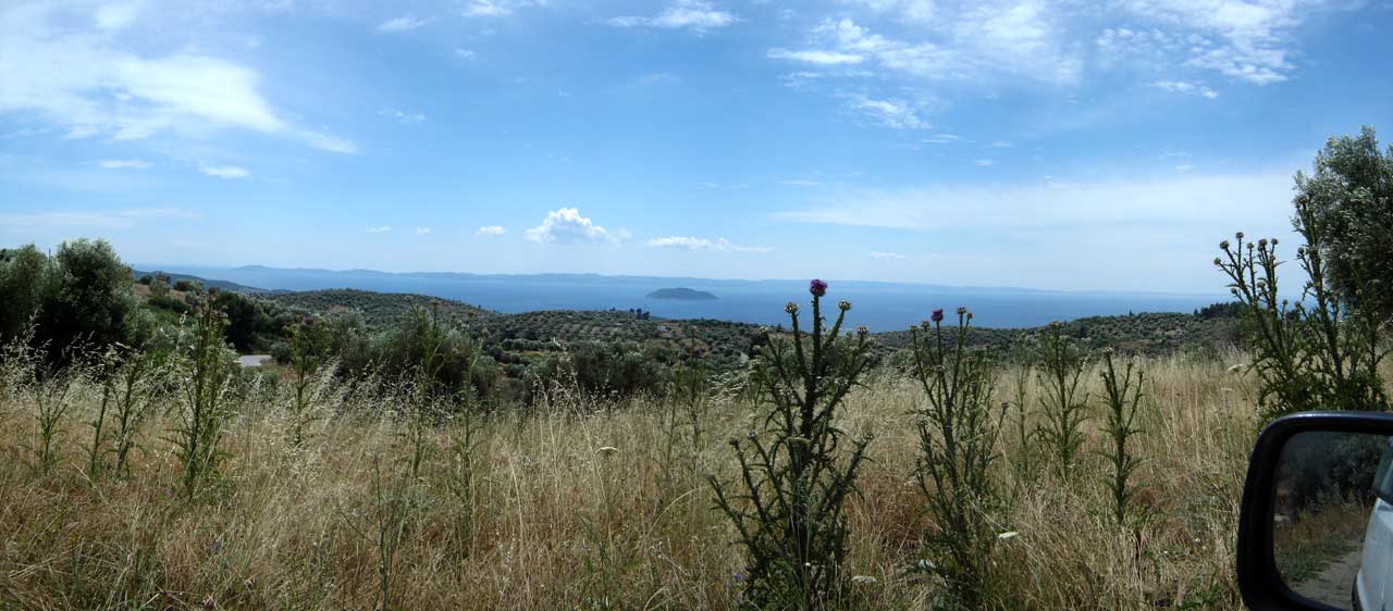 Parthenonas